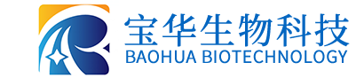 星空官方端网站入口-星空(中国)
